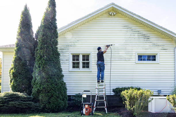 Best Fence Pressure Washing  in St James, MN